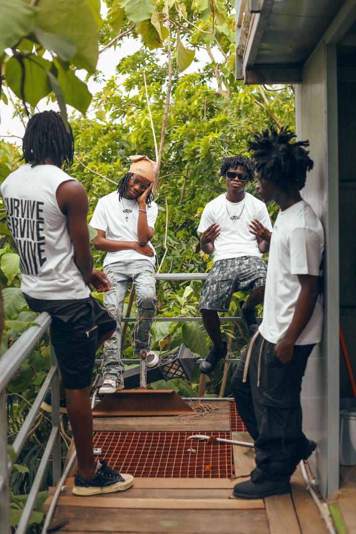 About Survive The Game